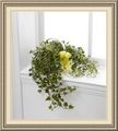 Flower Lane Florist, 101 S 2nd St, Bellevue, IA 52031, (563)_872-4400